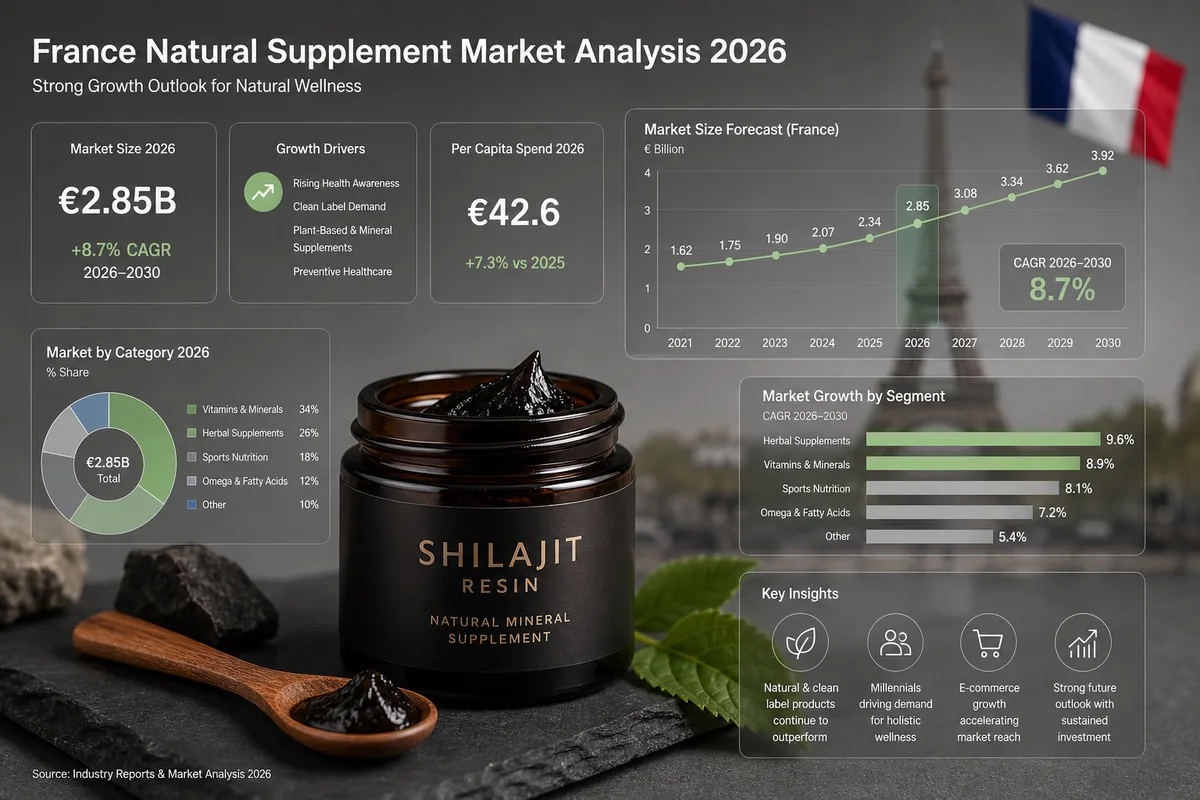Bilan du marché du shilajit en France 2026 - Paysage Himalayen