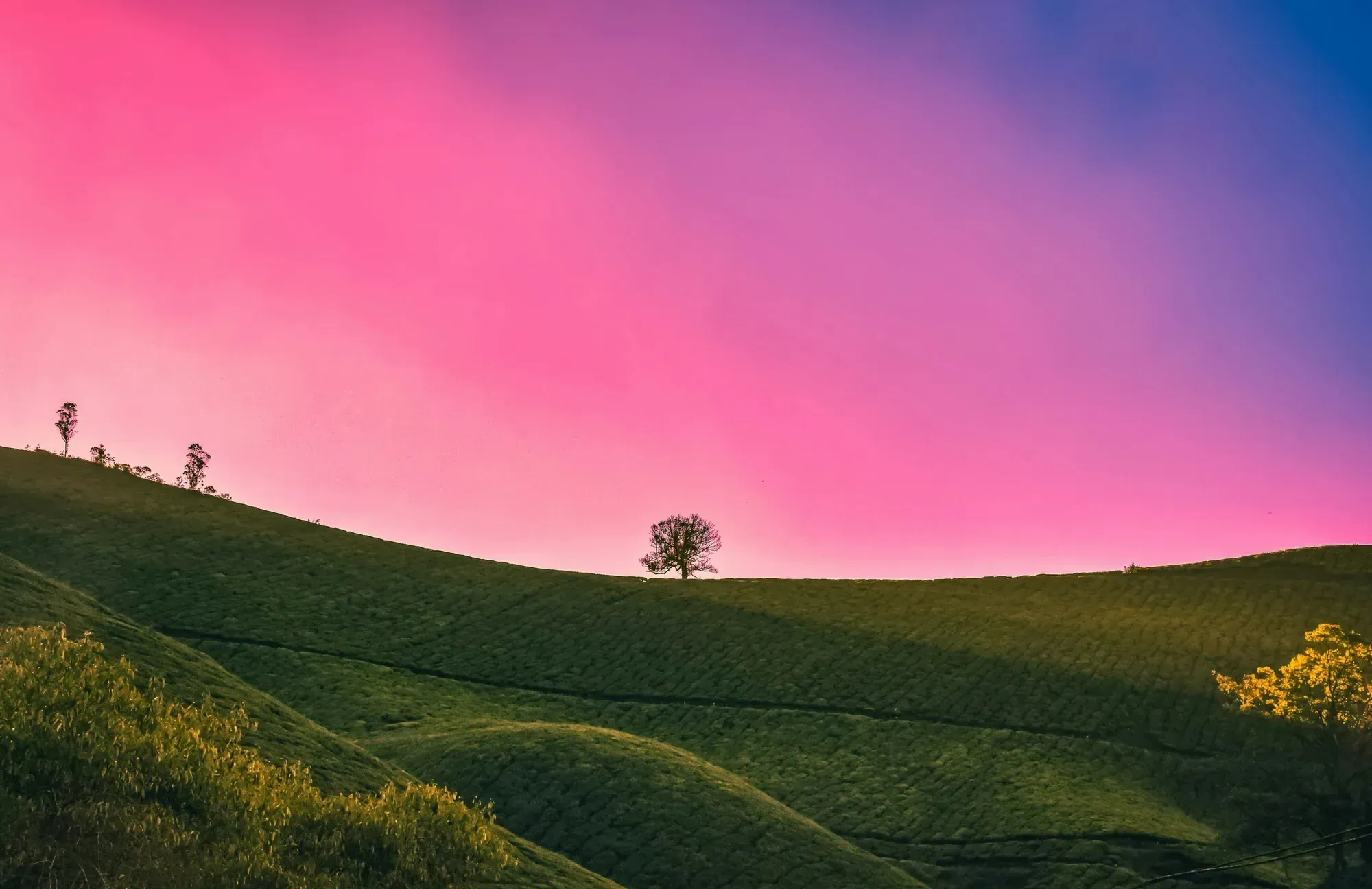 Shilajit dissous dans un verre d'eau tiède