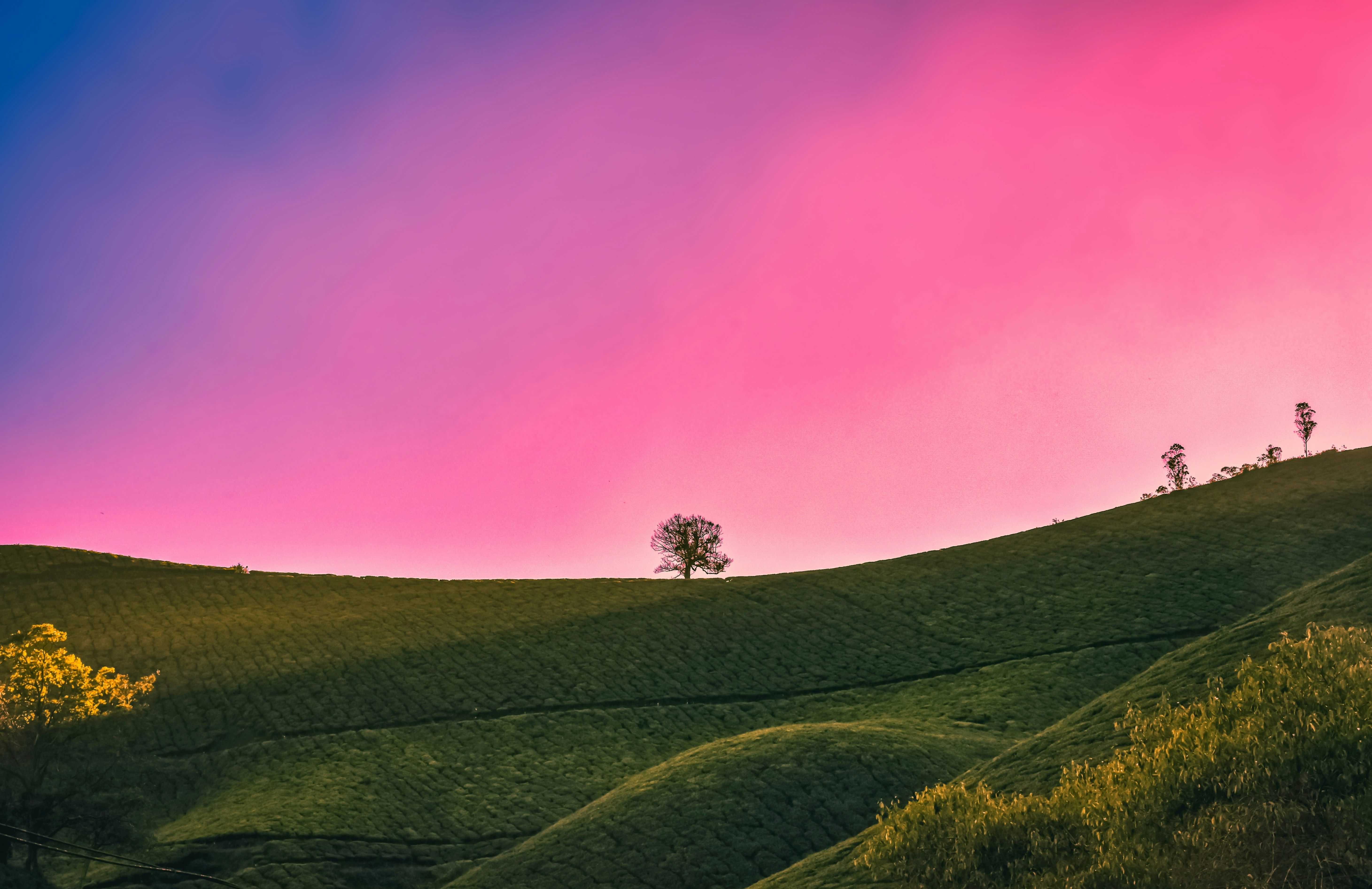 Guide pratique d'utilisation du shilajit