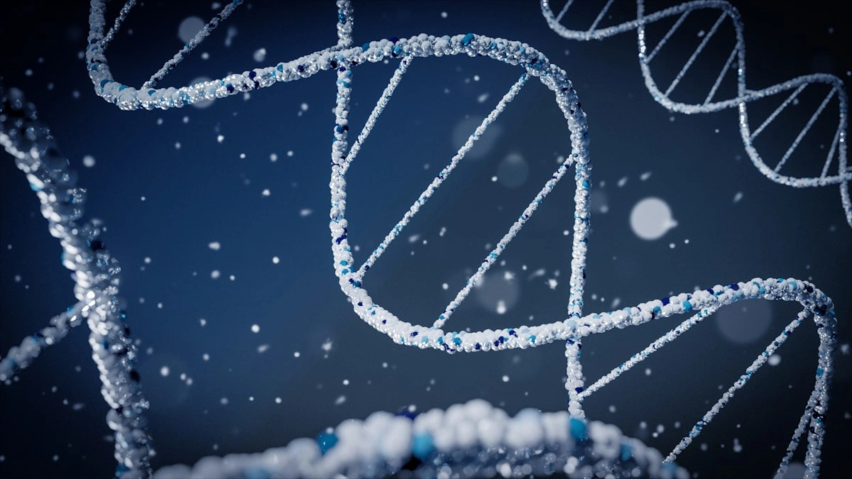 Comparatif Shilajit vs CoQ10 pour l'énergie