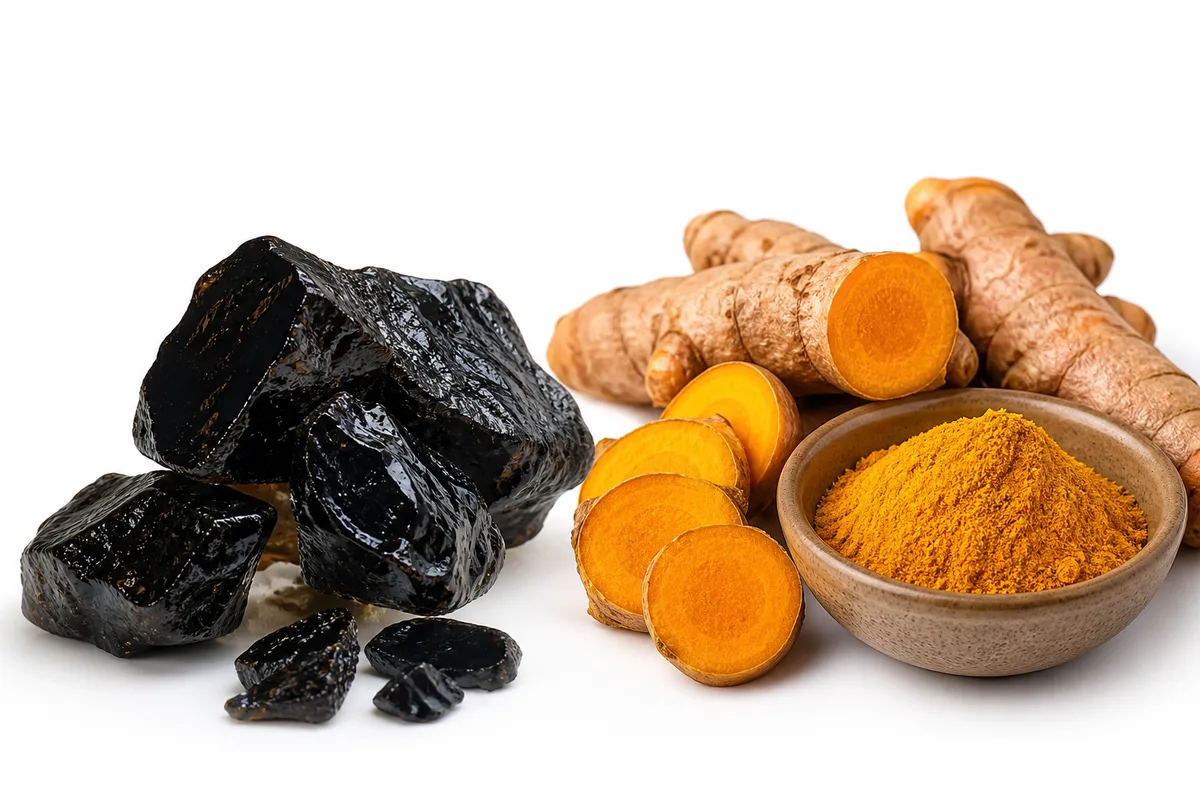 Comparatif Shilajit vs Curcuma anti-inflammatoire