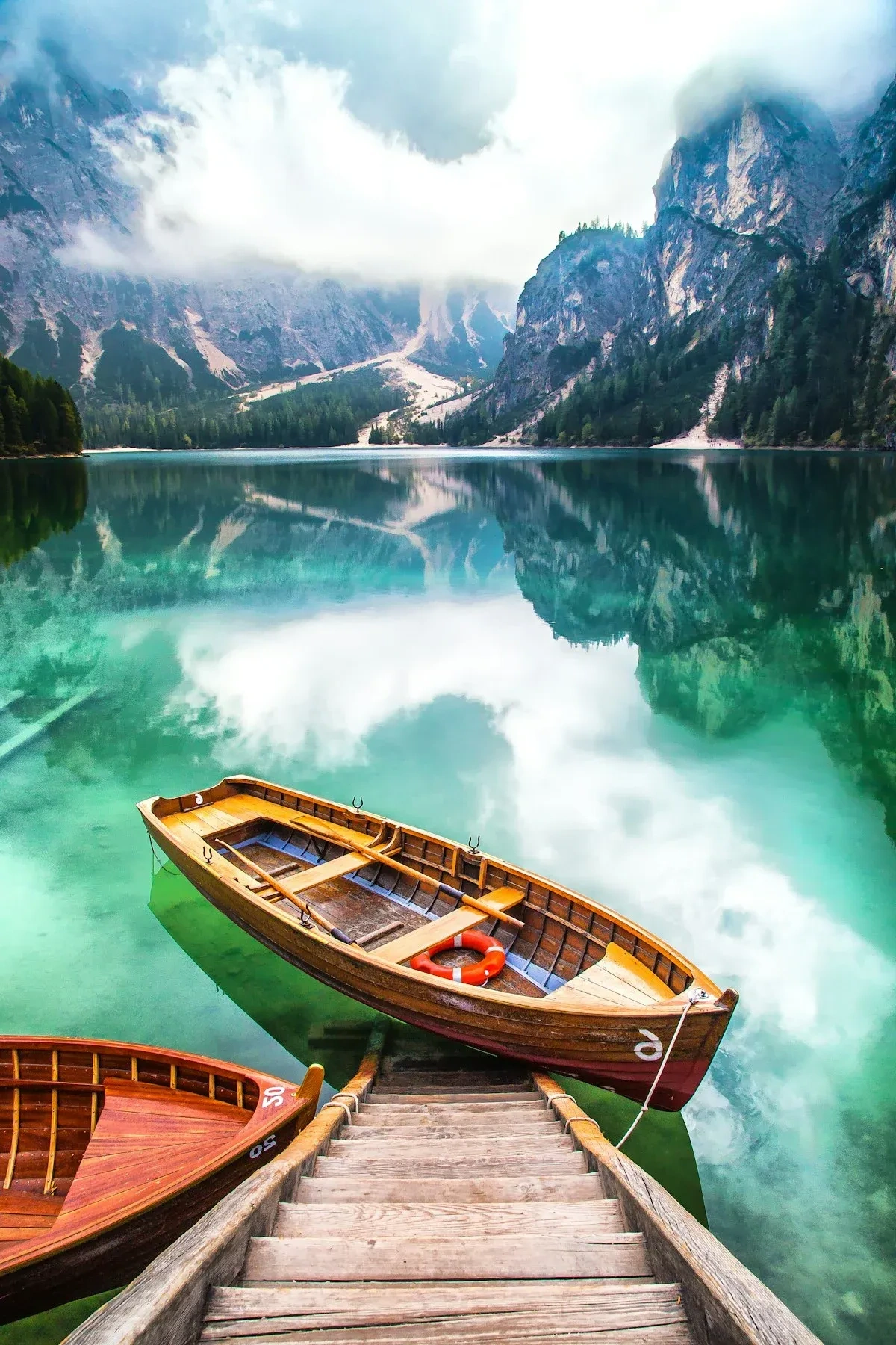 Shilajit résine himalayenne naturelle de haute qualité