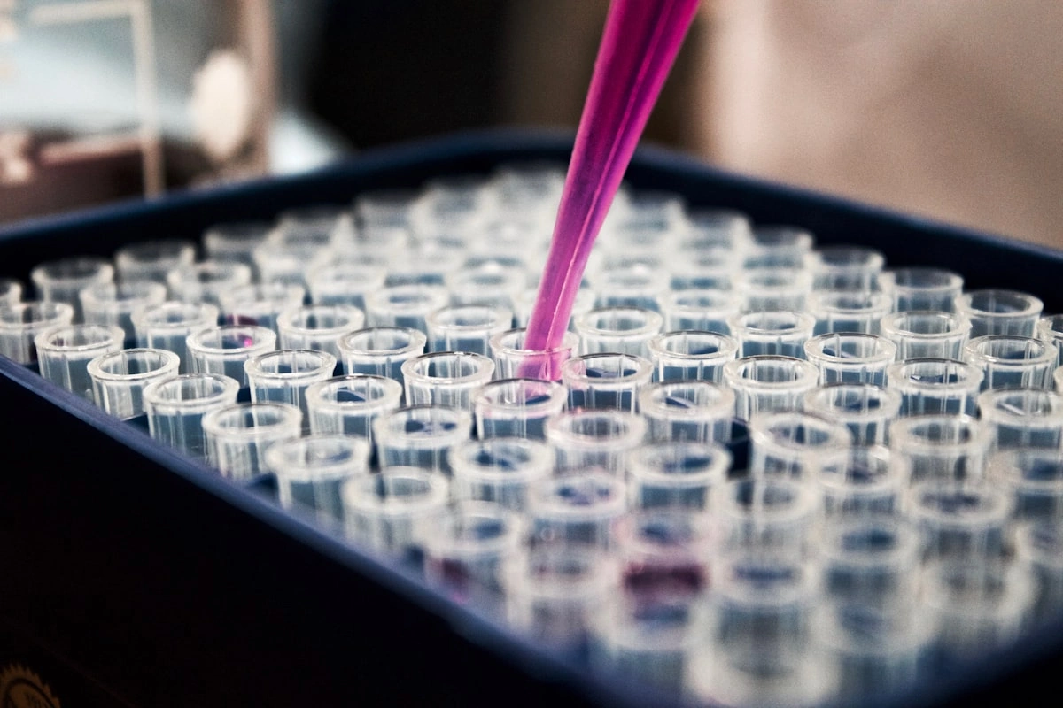 Études scientifiques et recherches sur le shilajit